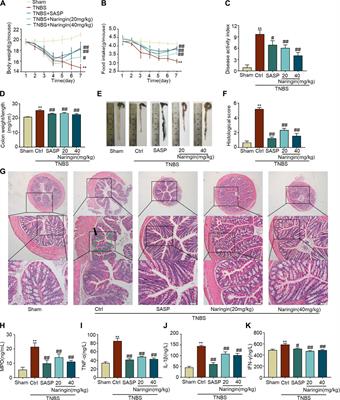 Naringin Exerts Therapeutic Effects on Mice Colitis: A Study Based on Transcriptomics Combined With Functional Experiments